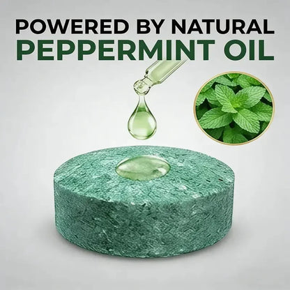 🌿 Peppermint & Cinnamon Oil Rodent🐭 Repellent Balls for Home & Garage