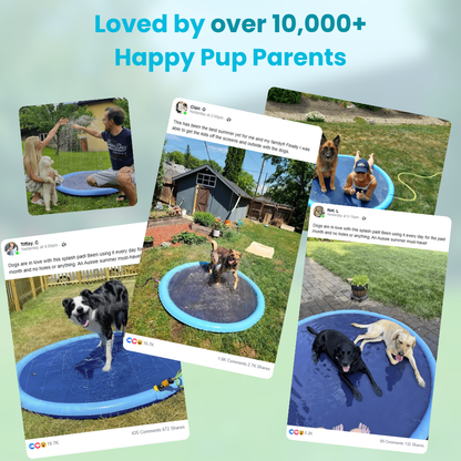 Pup EvysuTM Splash Pad
