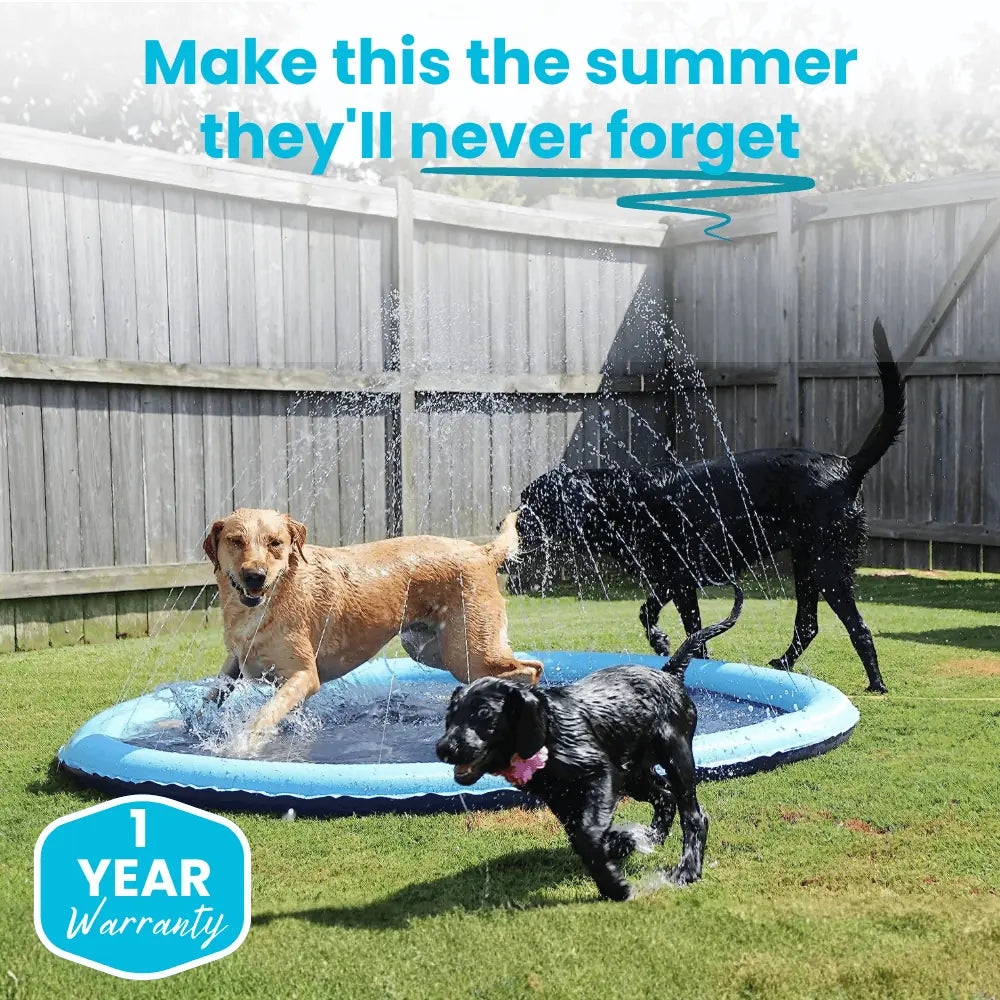 Pup EvysuTM Splash Pad
