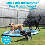 Pup EvysuTM Splash Pad