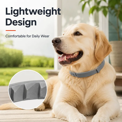 Adjustable Flea & Tick Repellent Dog Collar – Fresh Scent Outdoor Protection for Dogs 🐾🌿
