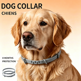 Adjustable Flea & Tick Repellent Dog Collar – Fresh Scent Outdoor Protection for Dogs 🐾🌿