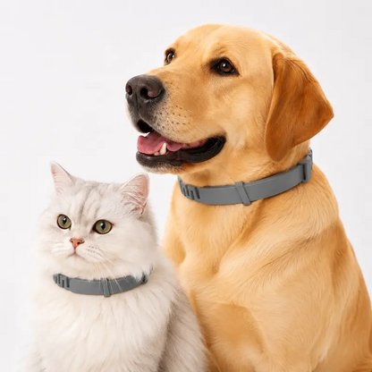 Adjustable Flea & Tick Repellent Dog Collar – Fresh Scent Outdoor Protection for Dogs 🐾🌿