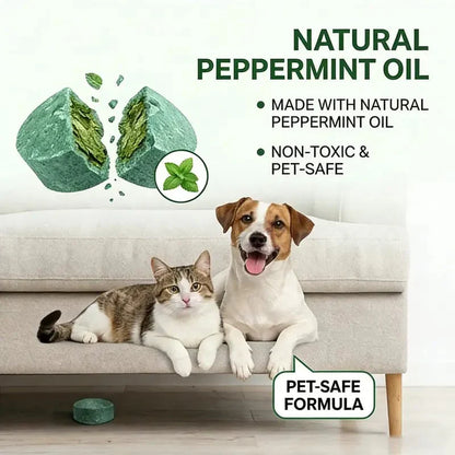 🌿 Peppermint & Cinnamon Oil Rodent🐭 Repellent Balls for Home & Garage