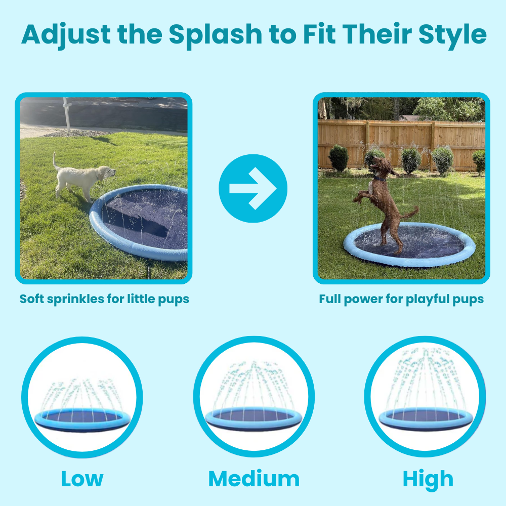 Pup EvysuTM Splash Pad