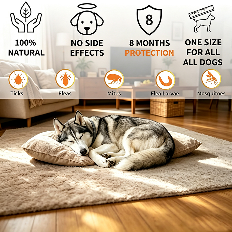 Adjustable Flea & Tick Repellent Dog Collar – Fresh Scent Outdoor Protection for Dogs 🐾🌿