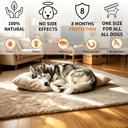 Adjustable Flea & Tick Repellent Dog Collar – Fresh Scent Outdoor Protection for Dogs 🐾🌿