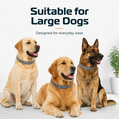 Adjustable Flea & Tick Repellent Dog Collar – Fresh Scent Outdoor Protection for Dogs 🐾🌿